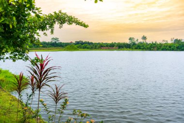 Bir sürü ağaç, bir göl ve turuncu gökyüzü olan bir manzara. Görünür bulutlu, renkli manzaralı.