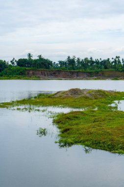 Bir sürü ağaç, bir göl ve görülebilir bulutlu mavi gökyüzü olan bir manzara.