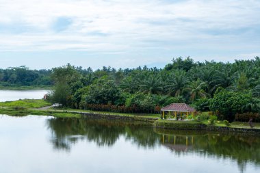 Nehir kenarındaki bir binanın manzarası. Etrafında bir sürü ağaç ve güzel bir gökyüzü var.