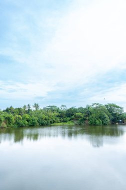 Bir sürü ağaç, bir göl ve görülebilir bulutlu mavi gökyüzü olan bir manzara.