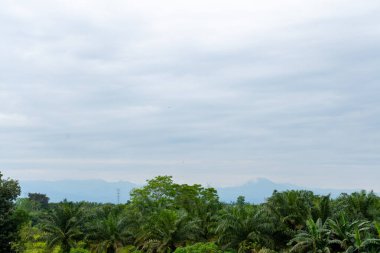 Bir sürü ağaç, bir göl ve görülebilir bulutlu mavi gökyüzü olan bir manzara.