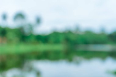 Gün ortasında çekilen manzaralı bir nehir kenarındaki odak dışı ağaçlar soyut arkaplanı bulanıklaştırdı