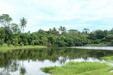 Bir sürü ağaç, bir göl ve görülebilir bulutlu mavi gökyüzü olan bir manzara.