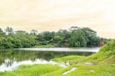 Bir sürü ağaç, bir göl ve görülebilir bulutlu mavi gökyüzü olan bir manzara.