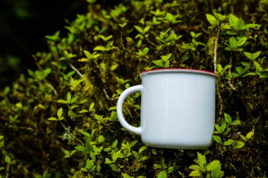 Enamel mug laying out on the of some small plants , enamel mug mockup image