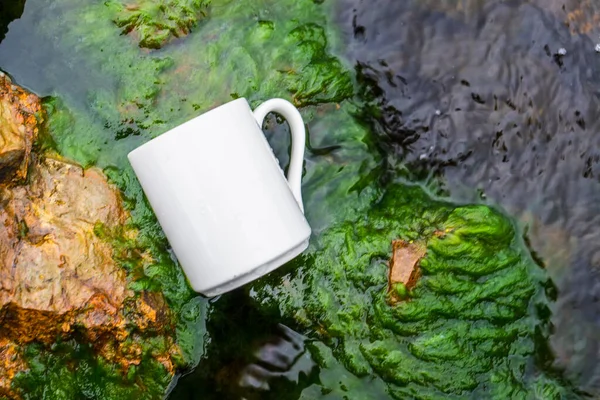 A Coffee mug laying out on the top of some rocks that covered with moss while the water keep splashing over it, coffee mug mockup image