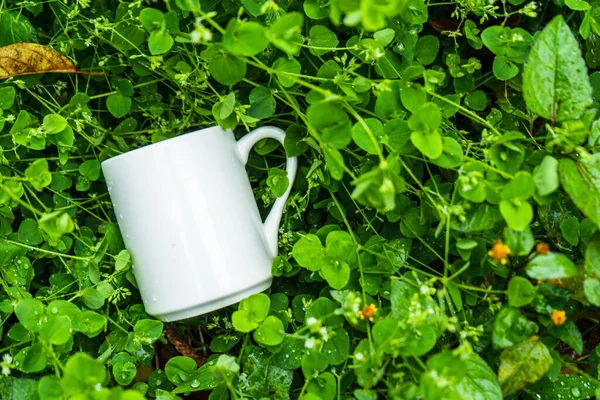 Coffee mug laying out on the top of a lot green small plants, coffee mug mockup image