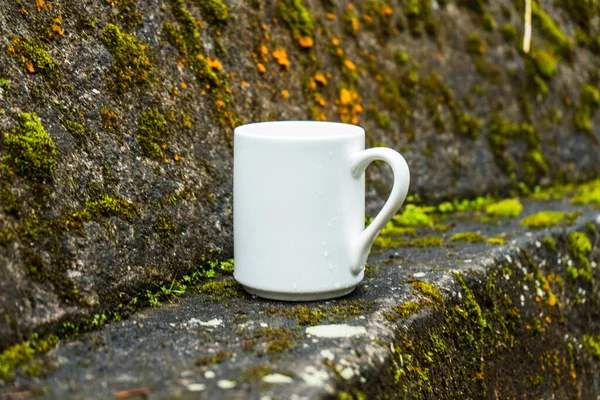 A coffee mug standing on the top a mossy fence with some orange mushroom, coffee mug mockup image