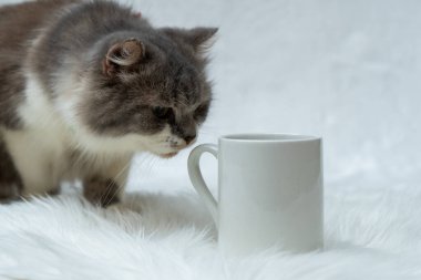 A coffee mug featuring a cat snuffing on its handle with the white background
