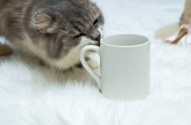 A coffee mug featuring a gray cat licking on it's handle on the white background, coffee mug mockup image
