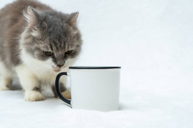 A blank white enamel mug with a cat snuffing out its handle on the white background, enamel mug mockup image