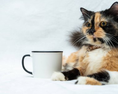 A blank white enamel mug with a cat resting beside it while facing sideways on a white background, enamel mug mockup image