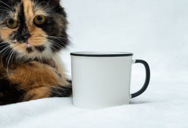 A blank white enamel mug with a cat resting beside it while facing sideways on a white background, enamel mug mockup image