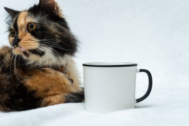 A blank white enamel mug with a cat resting beside it while facing sideways on a white background, enamel mug mockup image