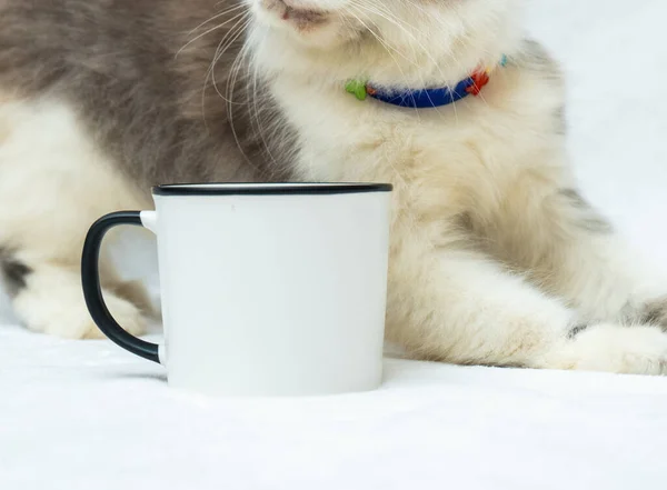 A blank white enamel mug with a cat resting behind showing only its body, enamel mug mockup image