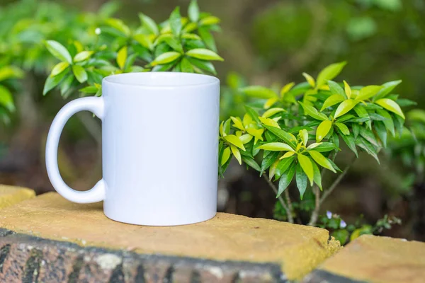 A white blank coffee mug image on top of a wall with a plants near it at a park, coffee mug mockup image
