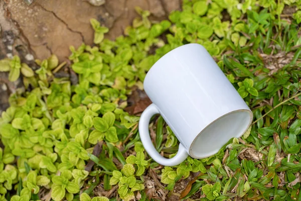 A blank white coffee mug laying out on the top of a grass with some green plants around it, coffee mug mockup image