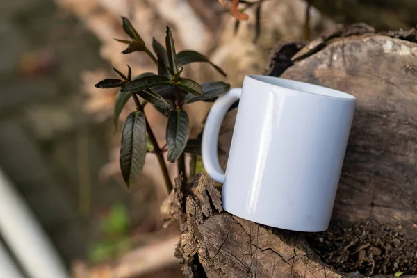 A blank white coffee mug standing out on the top of a tree stump with plant beside it, coffee mug mockup image