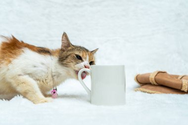 The boundless energy of this cat is evident as they play and chase around a white blank mug, white blank mug mockup image