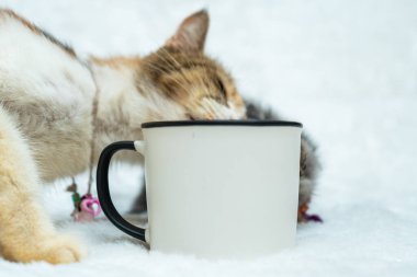 This curious cats explores and engages with a white blank mug in a series of playful actions, white blank mug mockup image