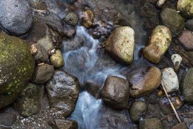 Exploring Nature's Beauty: Slow Shutter Speed Images of Water Flowing Among the Rocks