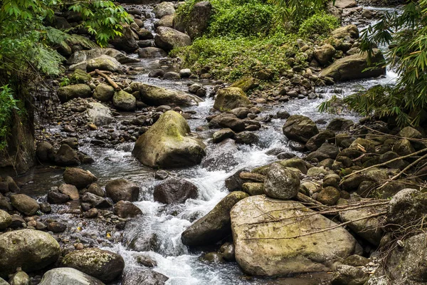 Experience the beauty of nature with our stunning water flowing among rocks photos