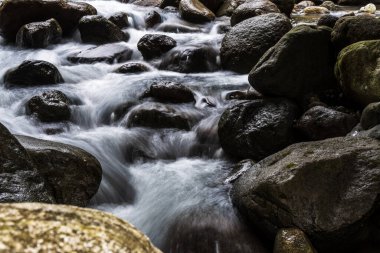 Nature's Melodies: Slow Shutter Speed Photos of Water Flowing Through Rocks