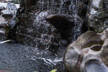 The tranquil sounds of the small fountain cascade into the pond below, creating a soothing atmosphere that washes away the day's stress