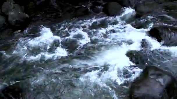 水的影像不停地流淌 沿着侧角的小河流过巨石 — 图库视频影像