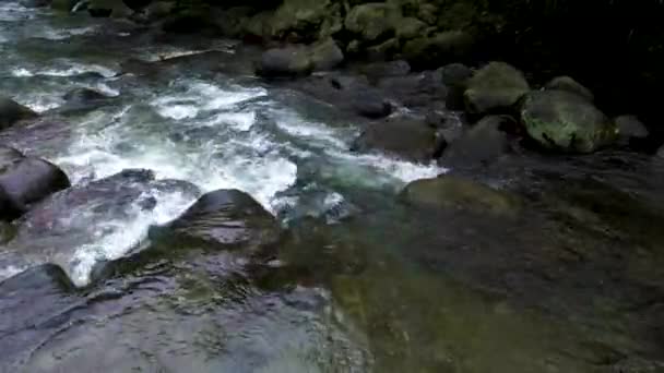 Видеозапись Потока Воды Небольшой Речной Дорожке Беспилотником Движущимся Направлении Потока — стоковое видео