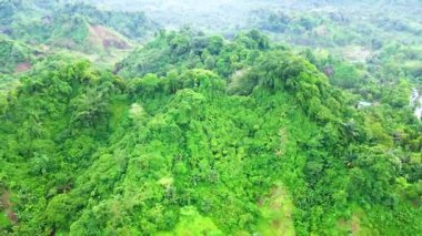 Bir dron tarafından dairesel hareketle soyut şekiller oluşturan bitkilerin hava görüntüleri.