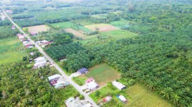 Çoğunlukla palmiye tarlalarıyla işlenmiş küçük bir köyün görüntüsü insansız hava aracı tarafından alınan yola odaklanmış.