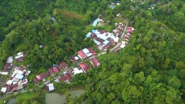 用无人驾驶飞机拍摄的关于在林区附近建造的一组房屋的空中录像 — 图库视频影像
