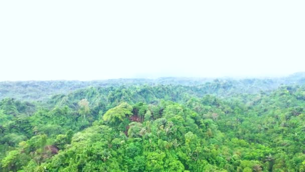 用无人机拍摄的绿色小山和后来的小乡村的画面 — 图库视频影像