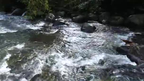 一条河流的影像显示了自然界中的水波 由无人机拍摄 — 图库视频影像