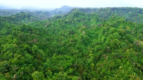 无人侦察机拍摄的没有人类活动的风景丛林的空中镜头 — 图库视频影像