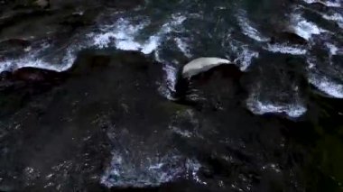 Suyun sakin görüntüsü engebeli kayaların yanında yavaşça akarken loş ışıklı ortamda sakin bir atmosfer yarattı.