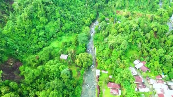 用无人驾驶飞机拍摄的一个被许多树木环绕的小村庄的空中录像 — 图库视频影像