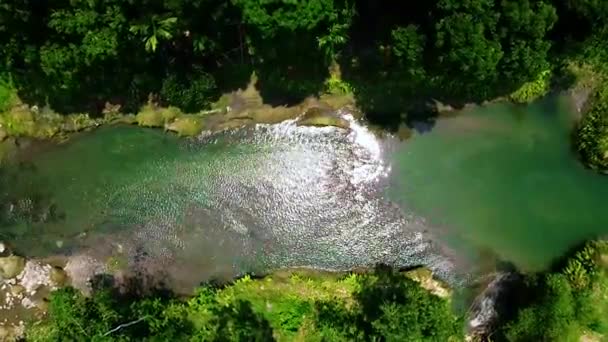 川のルートの上から撮影された川の岩の地形を示す空中ビデオ — ストック動画