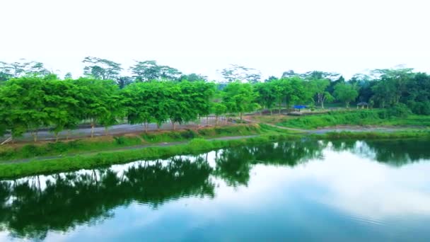 Eine Luftaufnahme Die Eine Sattgrüne Landschaft Mit Einem Ruhigen Teich — Stockvideo