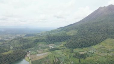 Dağın eteğindeki ağaçlarla çevrili bir dağın hava görüntüleri, bir insansız hava aracıyla çekildi.