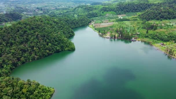 Imagens Aéreas Com Vista Panorâmica Uma Floresta Grande Lago Algumas — Vídeo de Stock