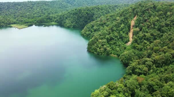 Büyük Bir Gölün Yanında Bir Ormanın Havadan Çekilmiş Görüntüleri Nın — Stok video