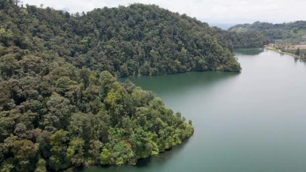 Съемка Воздуха Зеленого Леса Рядом Большим Озером Сделанная Дроном — стоковое видео