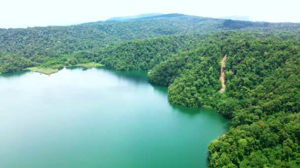 Bir Göl Ormanın Havadan Çekilmiş Görüntüleri Bir Dron Ile Çevrelenmiş — Stok video