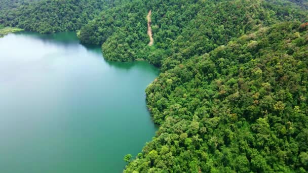 Sakin Bir Nehrin Bir Sürü Ağacın Olduğu Bir Arazinin Insansız — Stok video