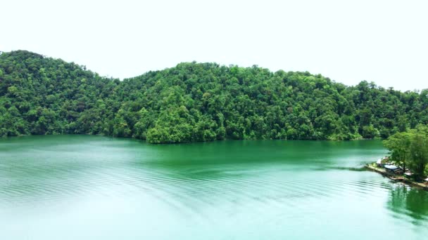 大きな湖で区切られた森の空中映像無人機で撮影 — ストック動画