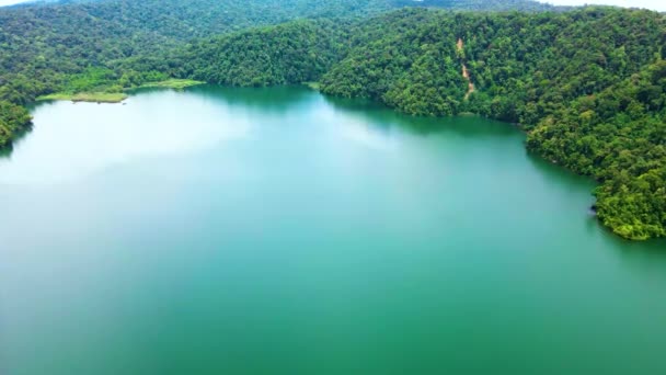 Imágenes Aéreas Del Río Calmante Pedazo Tierra Forestal Junto Tomadas — Vídeos de Stock