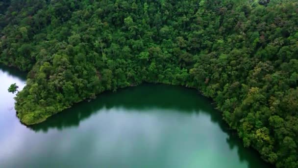 Повітряні Кадри Які Показують Чудове Смарагдове Кольорове Озеро Зроблене Безпілотником — стокове відео
