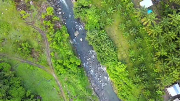 用无人驾驶飞机以弯曲的下降运动拍摄的峡谷中河道的空中录像 — 图库视频影像